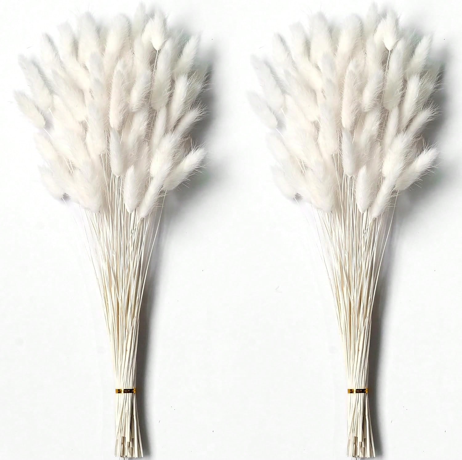 120 stuks gedroogd pampasgras  - Pampas Grass Decor recensie en prijs