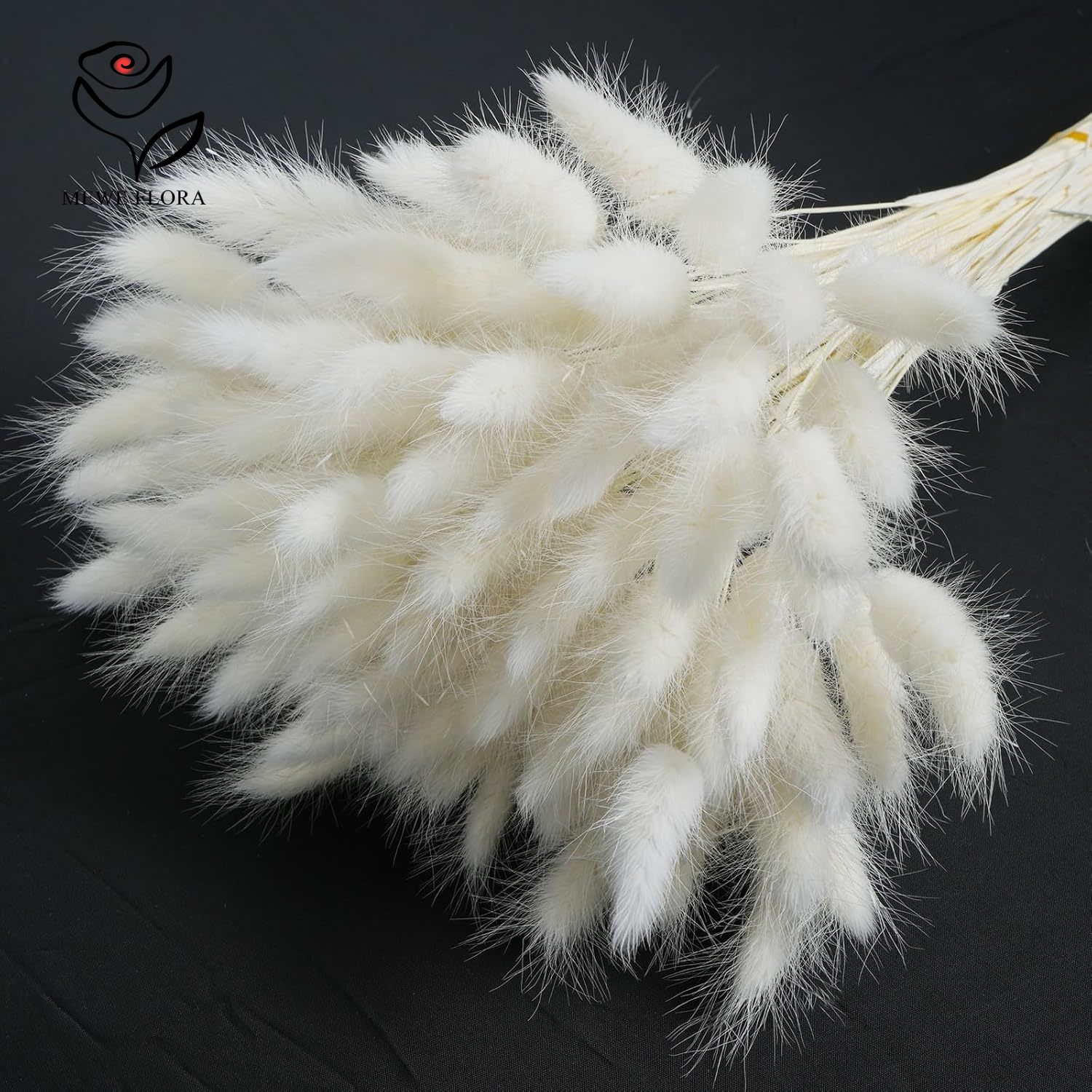 150 STKS Witte Natuurlijke Plu - Pampas Grass Decor recensie en prijs